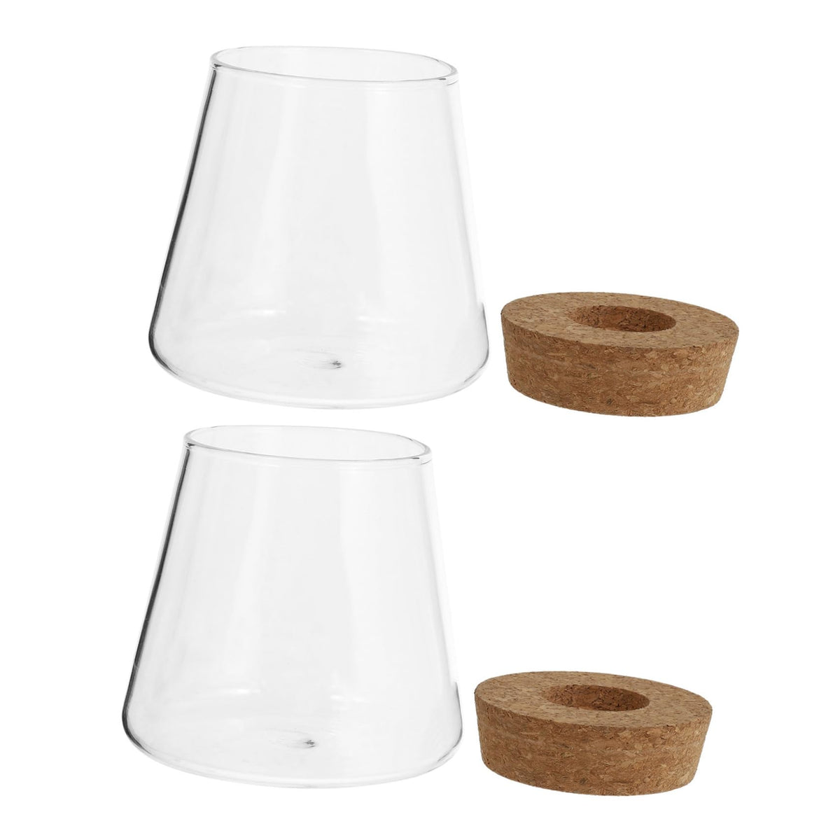 Ciieeo 2Pcs Glass Desktop Planter Vase for Hydroponics Chic Terrarium for Indoor Plants Home Office Decoration for Floral Arrangements and Plant Propagation