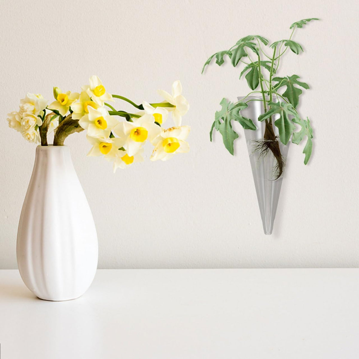 Homoyoyo Clear Glass Cone Vase - Wall-Mounted Terrarium Planter for Stylish Plant Displays for Flower Arrangements and Home Decor Unique Circular Design for Indoor Gardens