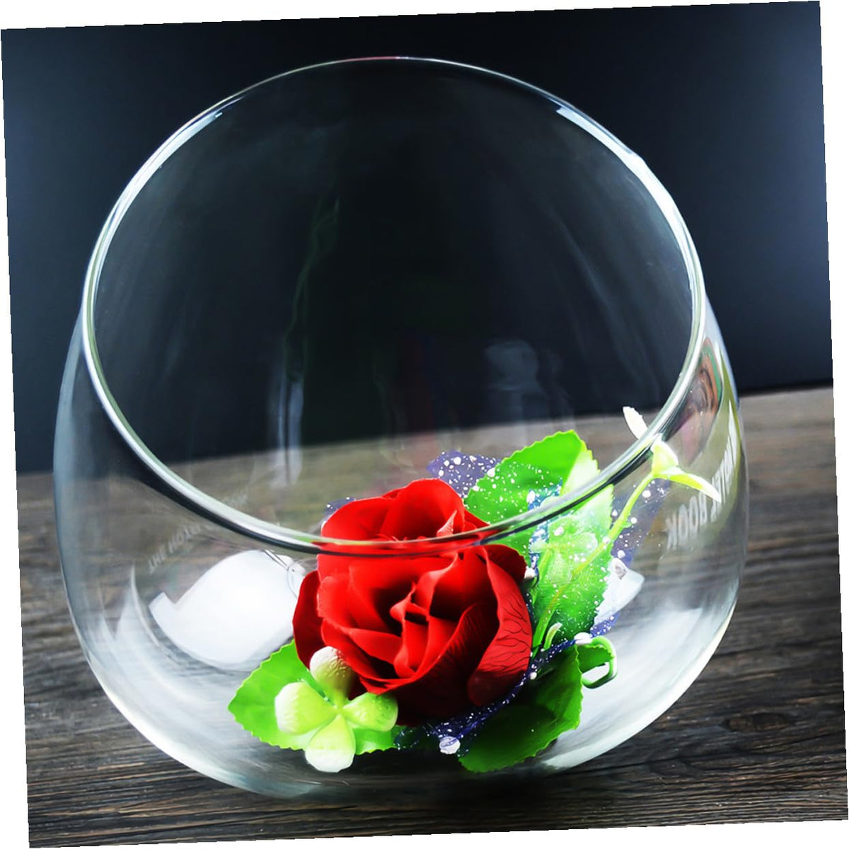 Homoyoyo 3pcs Glass Slant Cut Terrarium Bottles for Micro Landscape, Tabletop Ecological Glass Display with Angled Opening, Decorative Plant Bottle Set for Home Décor