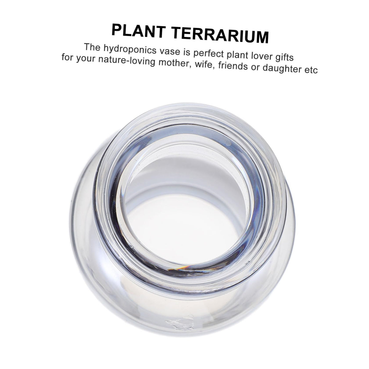 Cabilock Desktop Hydroponics Glass Planter Vase Stylish Terrarium for Home Decor Simple Design Small Bulb Container for Plant Lovers