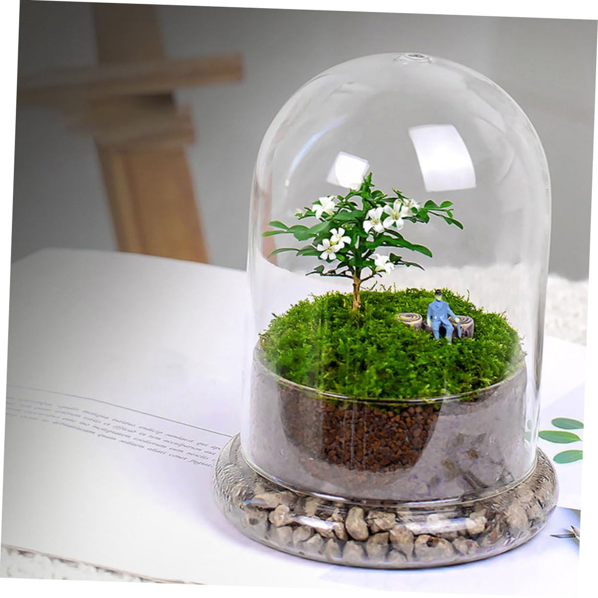Sosoport Glass Eco Bottle Terrarium Supplies Bell Jar Dome Plant Holder DIY Decor