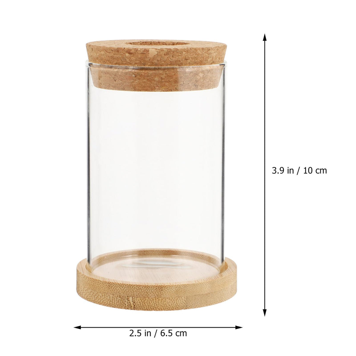Angoily 2pcs Glass Hydroponic Planter Vase with Stand, 6.5x10cm Desktop Terrarium for Home Garden Decoration and Office Plant Display