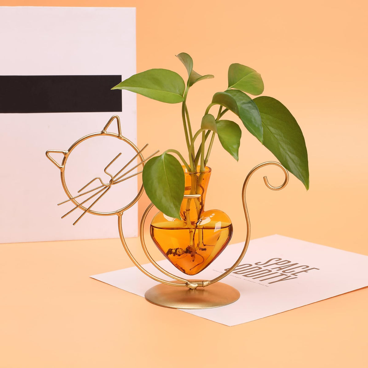 Plant Terrarium Plants Propagation Station Cat Lover Gifts for Women Home Office Decor Cat Desk Accessories