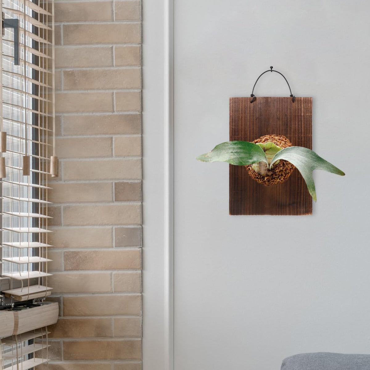 ORFOFE Fern Hanging Plaque 9.76X6.77X0.70In Solid Wood Rustic Sign Decor for Indoor Succulents Climbing Plants Vertical Plant Mounting Board