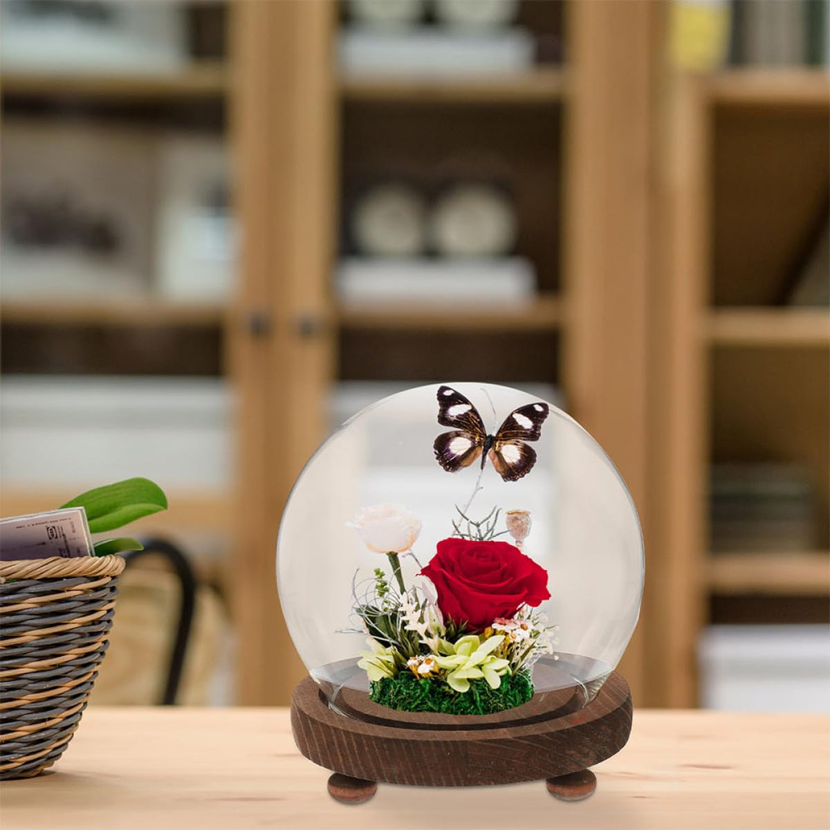 Happyyami Clear Glass Cloche Bell Jar with Wooden Base for Plants Terrariums and Preserved Flowers Elegant Display Dome Cover for Home Decor Dust Showcase Beauty