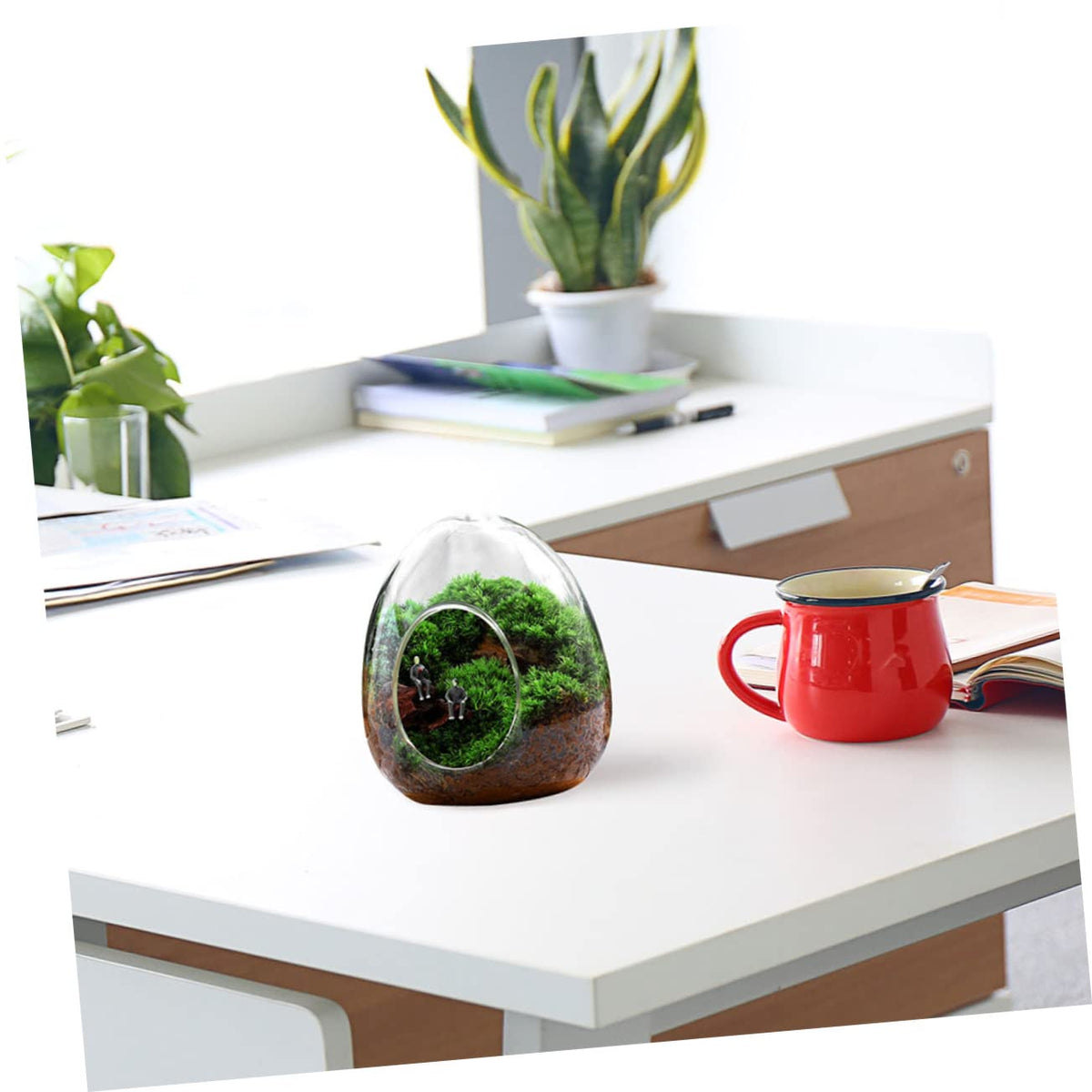 POPETPOP Glass Plant Propagation Station for Home Office Terrarium Supplies Eco Bottle