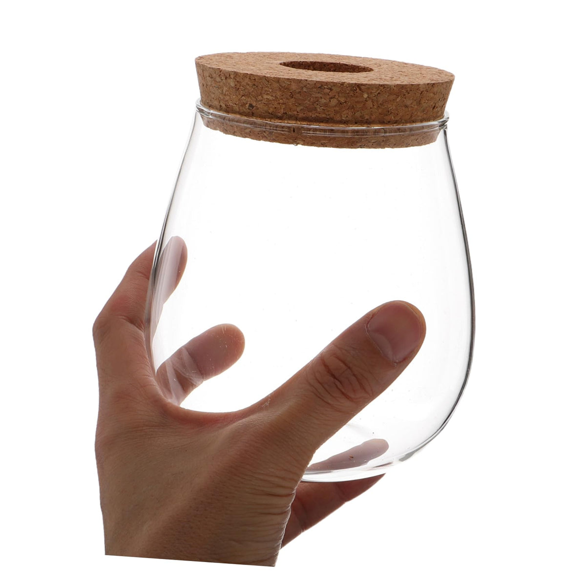 POPETPOP Modern Hydroponic Glass Vase Compact Desktop Planter for Terrariums Flower Holder for Aesthetic Home Decoration for Observing Plant Growth