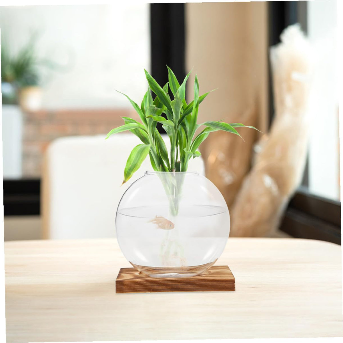 PRETYZOOM Glass Plant Propagation Vases with Wooden Base, 2pcs Hydroponic Glass Containers for Indoor Plants, Terrarium Containers for Home and Office Decor