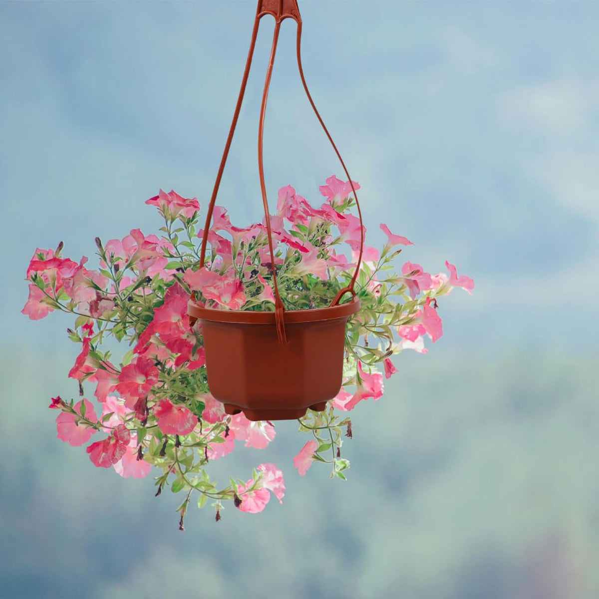 Sosoport Hanging Flower Pots 10 Pack Plastic Planters with Hooks 11.81X3.85X2.36 Inch Space-Saving Indoor Outdoor Balcony Garden Plant Containers