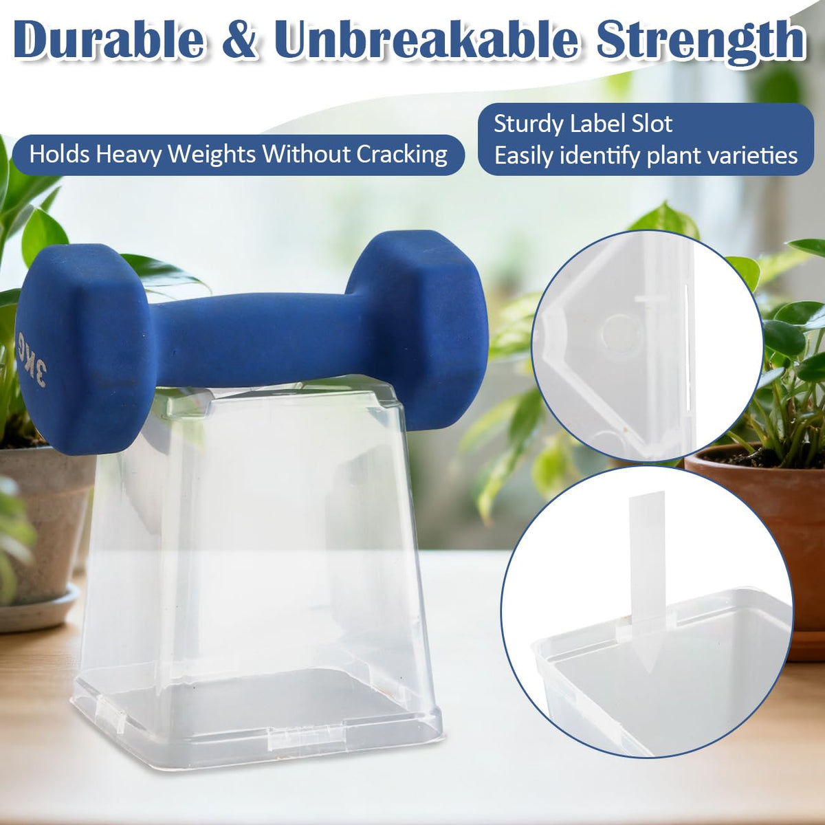 RooTrimmer 5.5 Inch Clear Square Nursery Pots with Drainage & Labels, 30Pcs Reusable Seed Starter Pots for Vegetables, Indoor Outdoor Gardening, Thick Transparent Plastic Plant Pots for Seed Starting