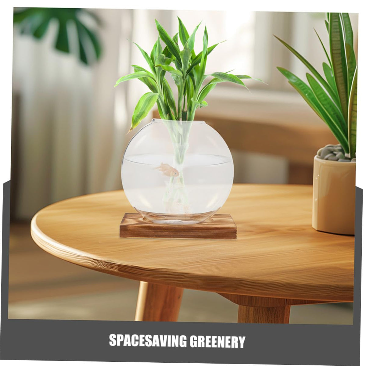 JOINPAYA 2pcs Small Glass Vase with Wooden Terrarium Stand, Hydroponic Planter for Indoor Plants, Propagation Jars for Home Office Desk Décor