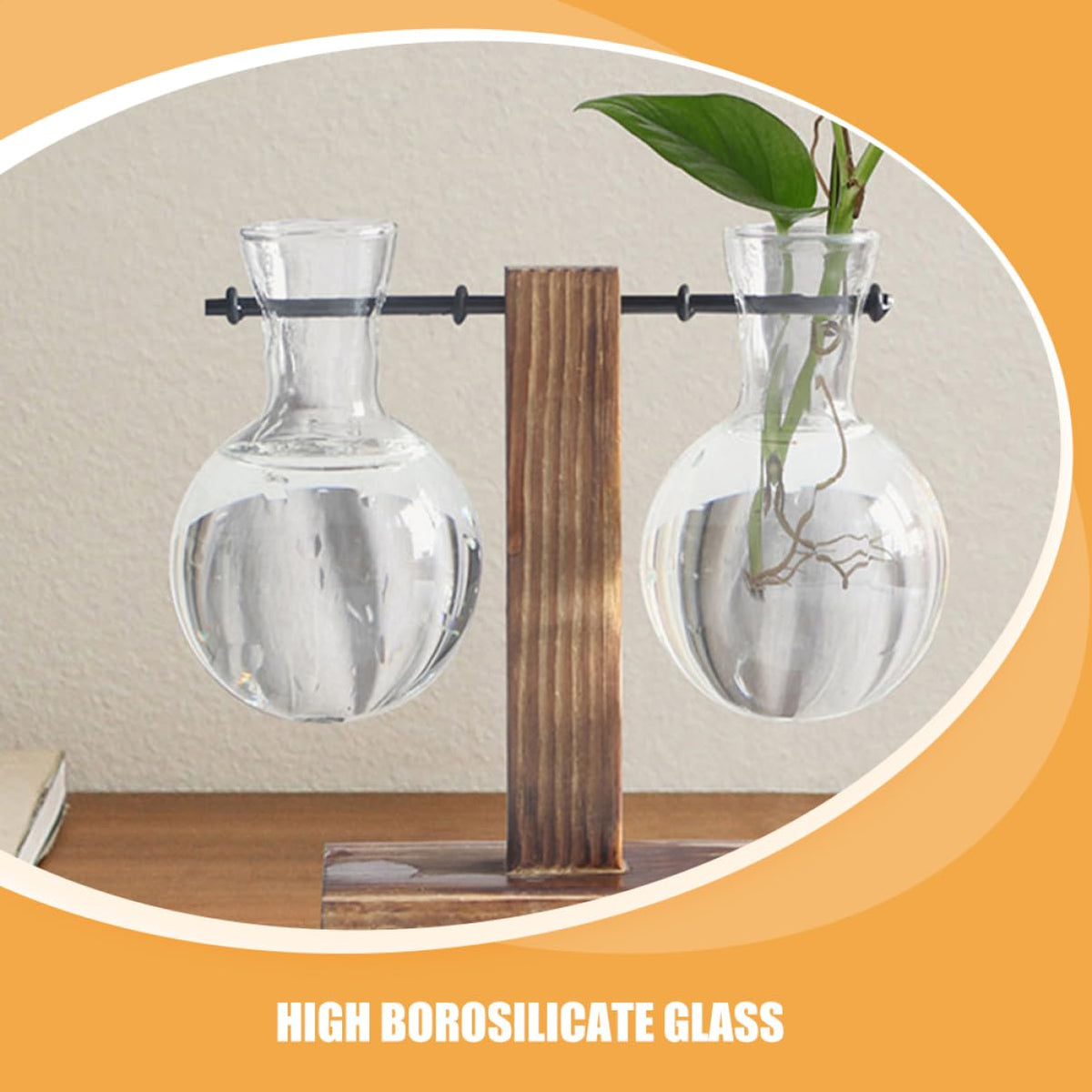 Mobestech 3pcs Hydroponic Glass Vase Base Clear Borosilicate Plant Propagation for Flowers and Terrariums and Stylish Desktop Decoration