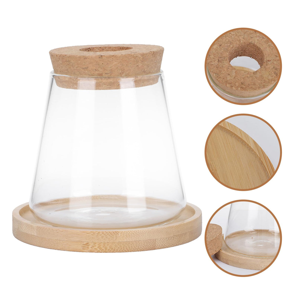 Beaupretty Hydroponic Glass Vase with Wooden Stand, 1-Set Ecological Bottle for Plant Propagation, Home and Office Gardening Terrarium Planter