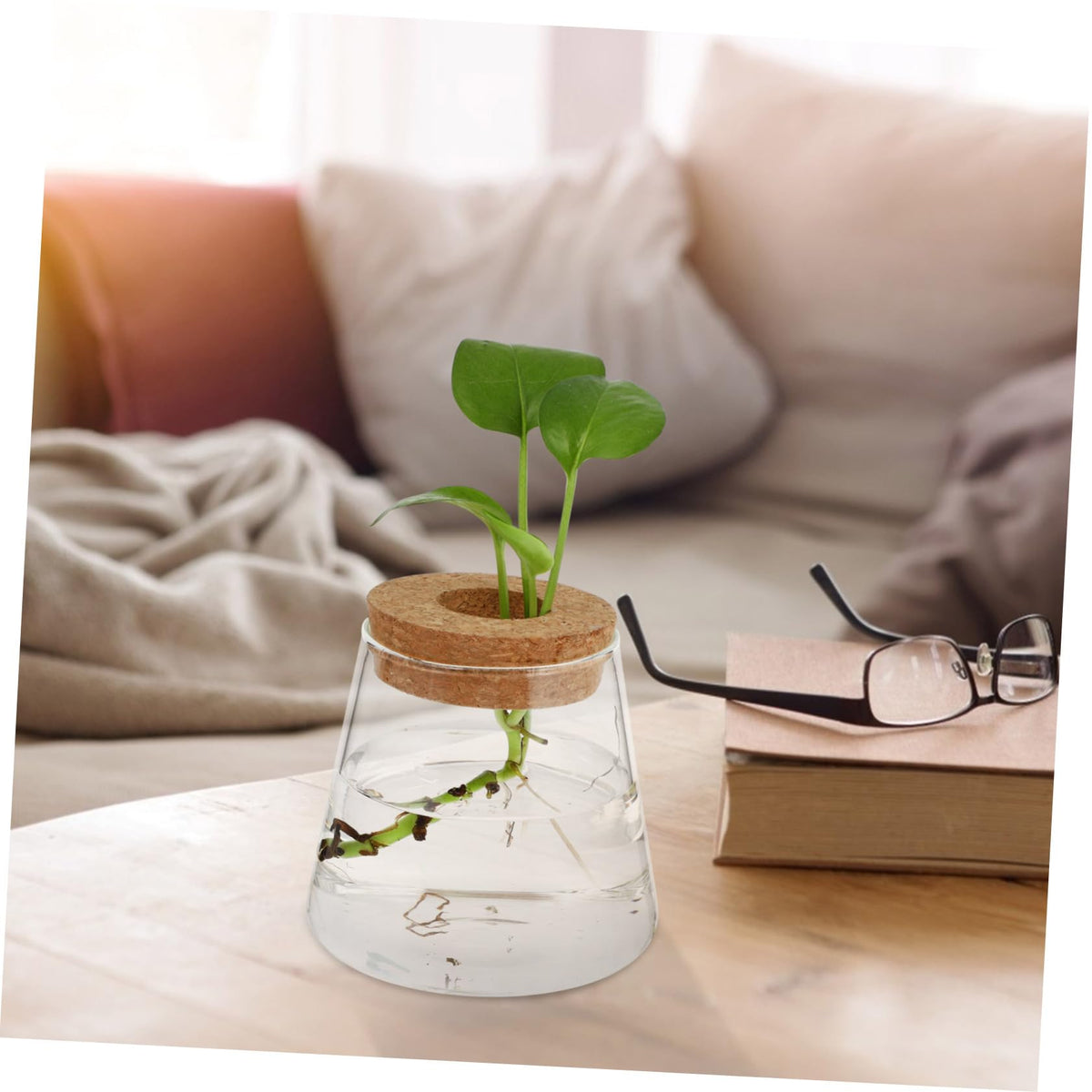 OUNONA 2Pcs Desktop Glass Hydroponic Chic Transparent Vases for Home Decor Stylish Terrarium for Indoor Plants for Office Garden Aesthetics