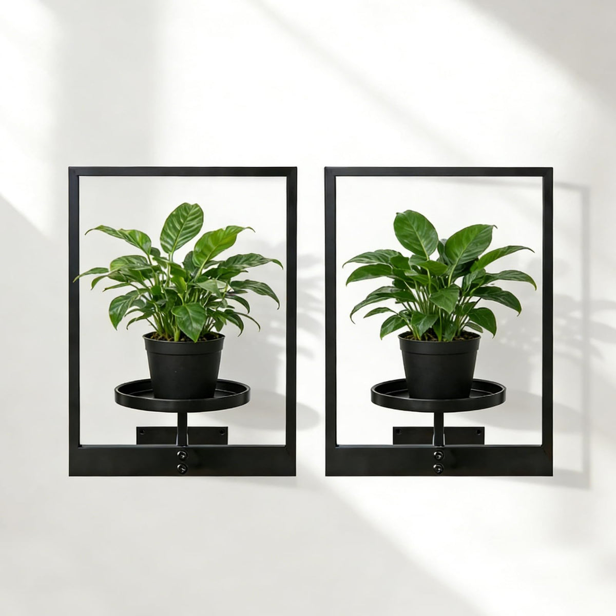 bbteroiu Picture Frame Wall Planters Set of 3, Modern Metal Hanging Shelves for Plants, Rustproof Wall Mount Flower Pot Holder for Indoor Outdoor, Decorative Plant Stand for Living Room Patio, Gold