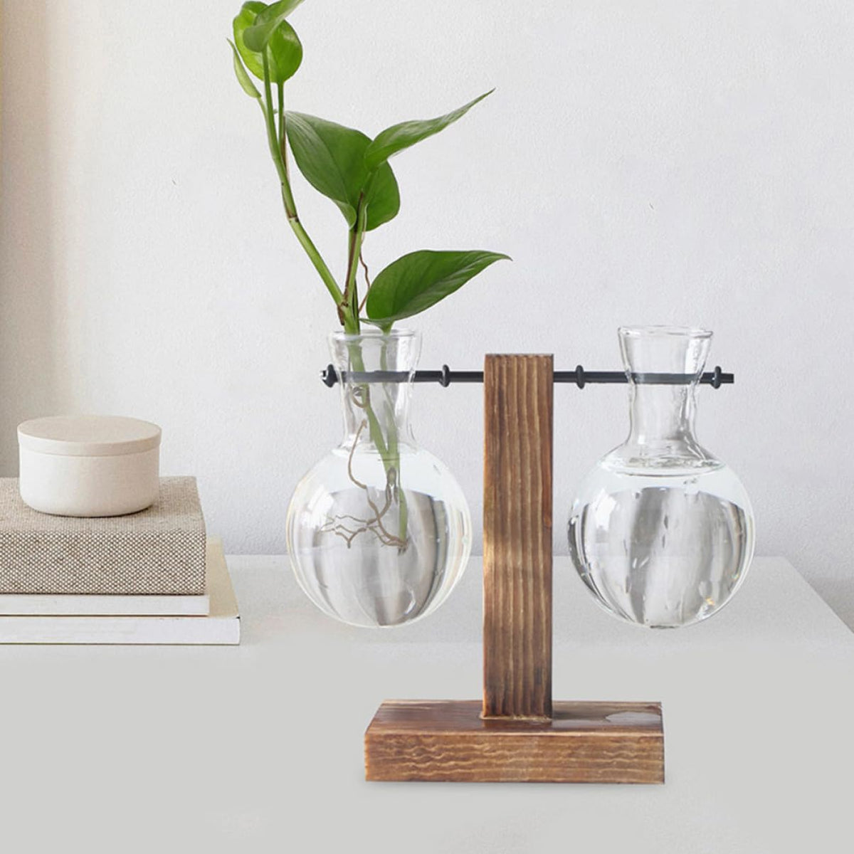 Mobestech 3pcs Hydroponic Glass Vase Base Clear Borosilicate Plant Propagation for Flowers and Terrariums and Stylish Desktop Decoration