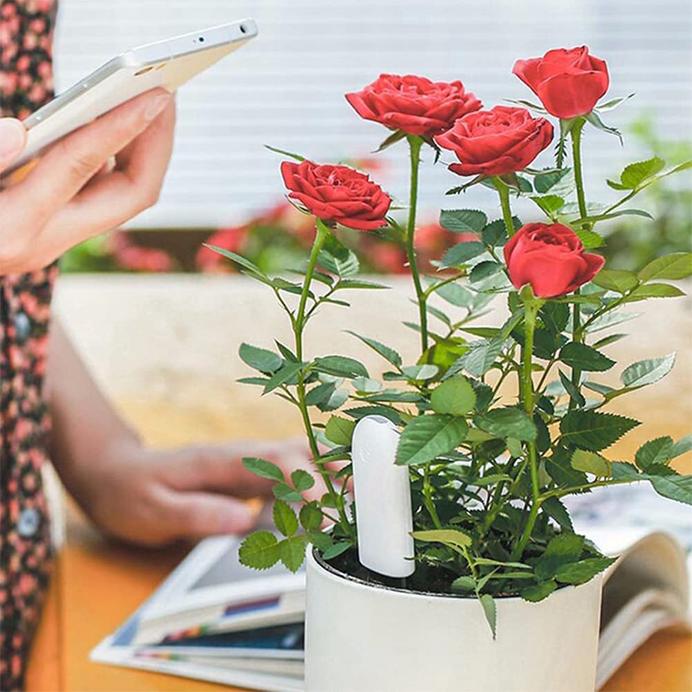 Soil Moisture Meter 4 in 1,Plant Water Monitor,Automatically detect Moisture/Temperature/Light/Fertility,Can Connect to Mobile Phone via Bluetooth,Hygrometer Sensor for Indoor Plants (1pc)