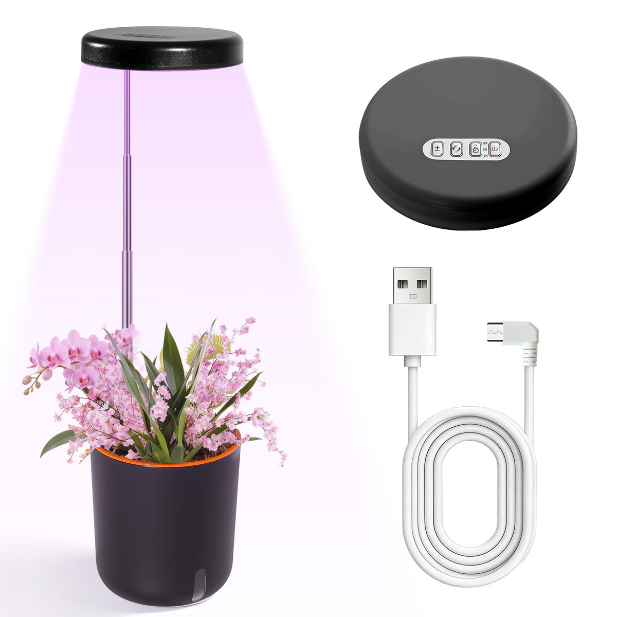 Raygrov Self-Watering Planter with Grow Light — Indoor Herb Garden Kit, Smart Plant Pot for Microgreens, Cat Grass, Catnip & Houseplants, 2-in-1 Wall + Desktop, USB 5W Full Spectrum LED