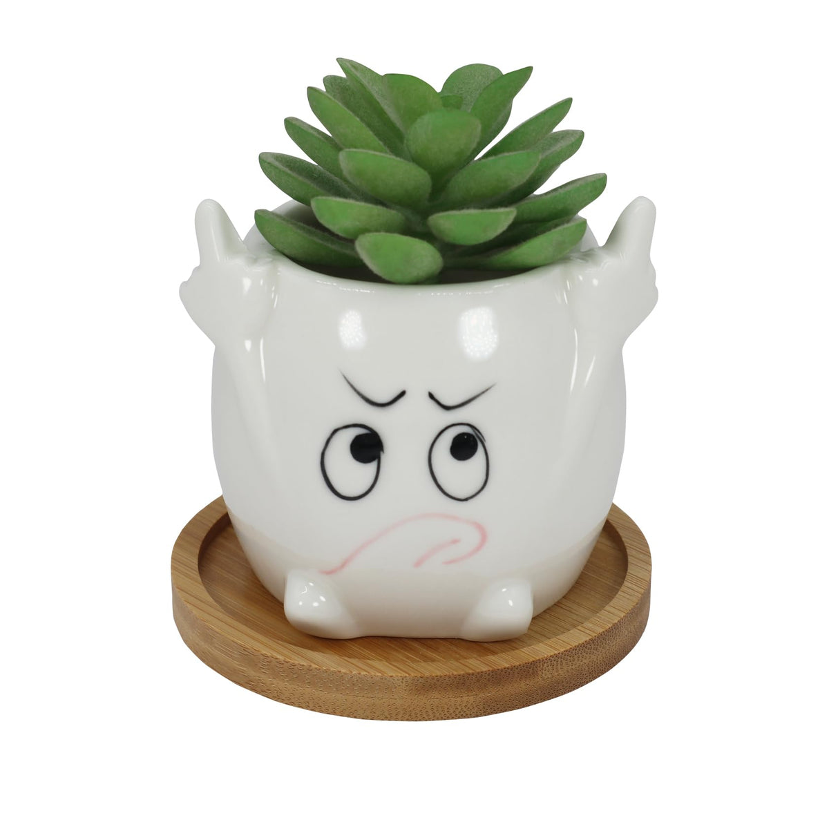 Gemseek Funny Face Succulent Planter Pot with Drainage Tray, Small White Ceramic Cactus Flower Container, Cute Decorative Indoor Air Plants Holder