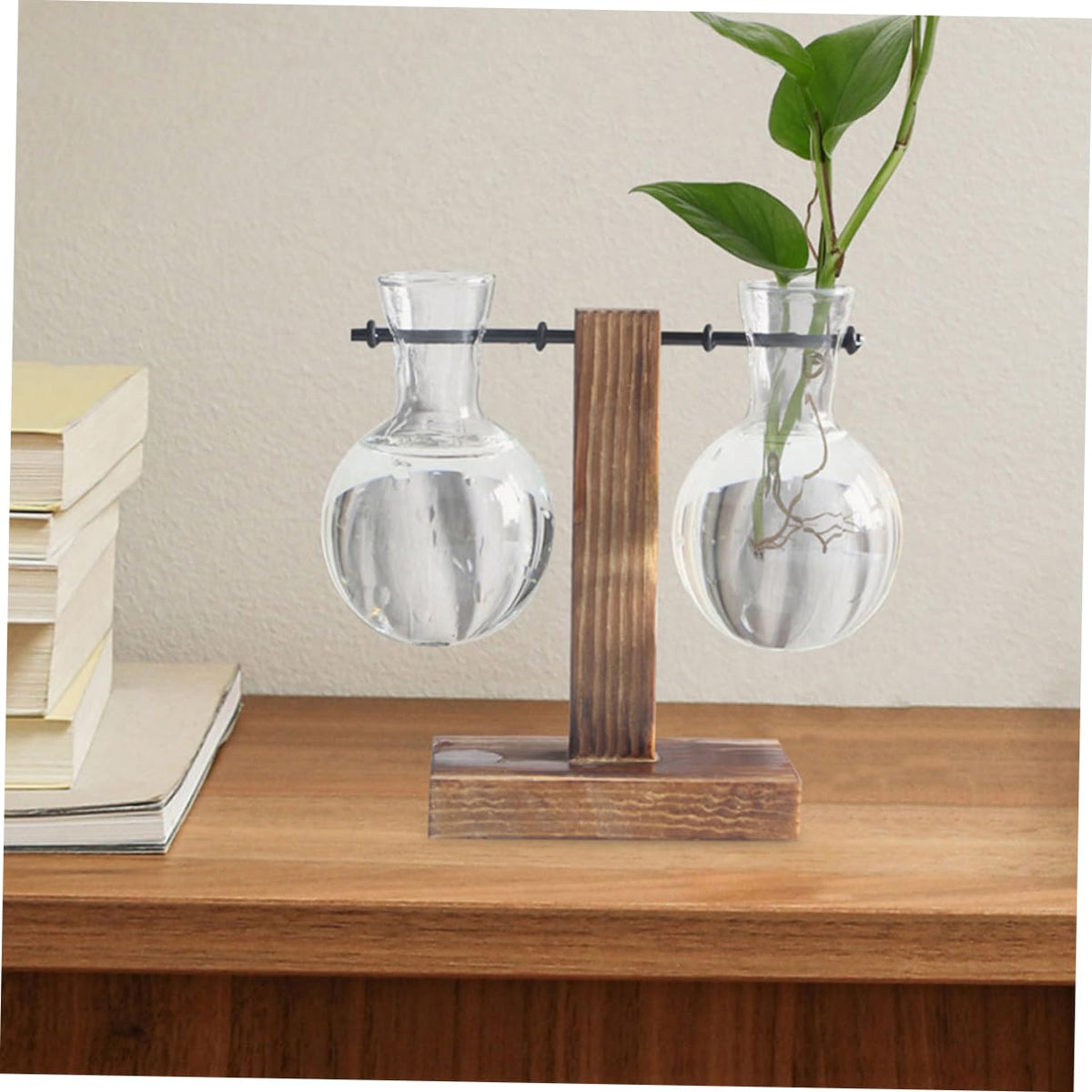 BESTOYARD 3pcs Hydroponic Propagation Vase Clear Glass Terrariums Stand for Plant Displays for Home Decor and Floral Arrangements