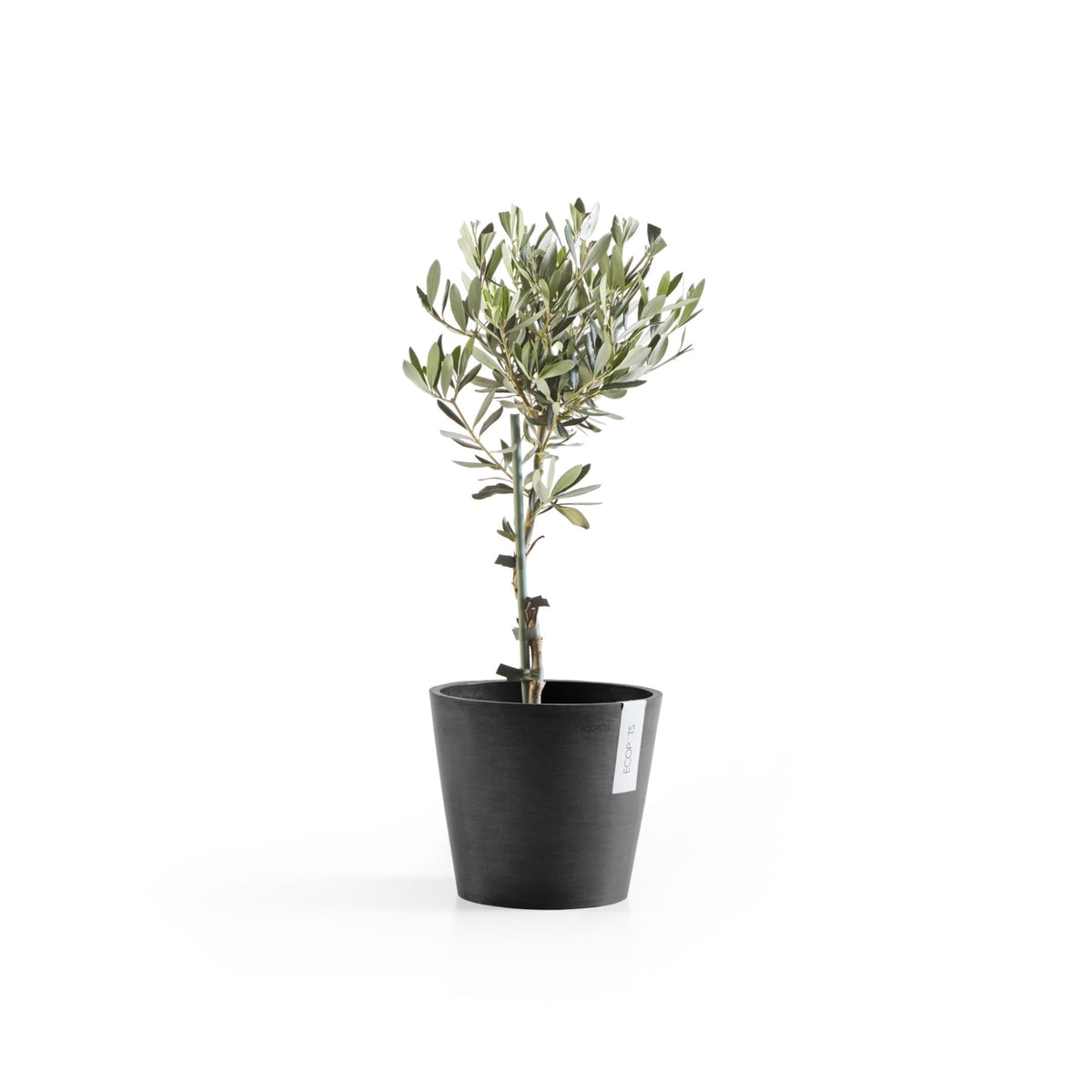 Ecopots Amsterdam Durable Modern Round Indoor/Outdoor Recycled-Based Composite Flower Pot Planter, Dark Grey, 8"