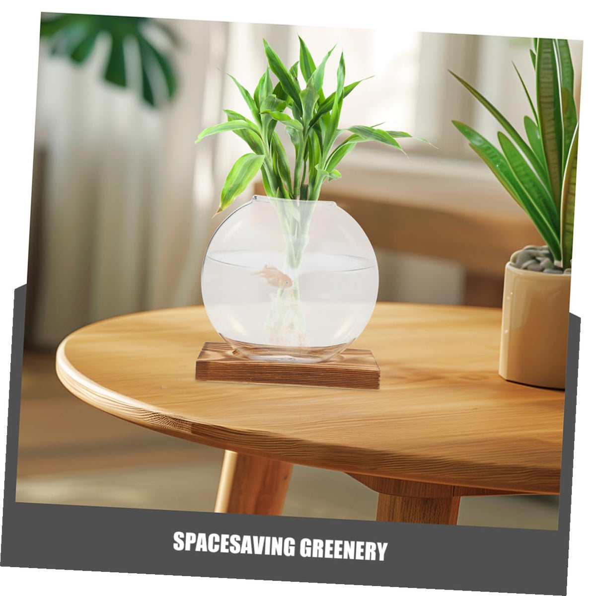 HYTROVE 2Pcs Hydroponic Glass Vase with Wooden Base, Propagation Planter for Indoor Plants, Desktop Terrarium Station for Home and Office Decor
