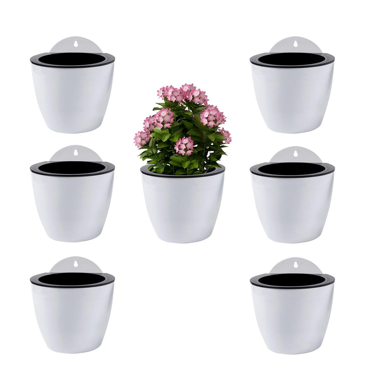 ShoppeWatch Wall Planters for Indoor Plants 7 Pack | Hanging Planters Large 7 Inch with Hooks | Wall Pots for Plants | 7.28 x 6.1 inches - PL35