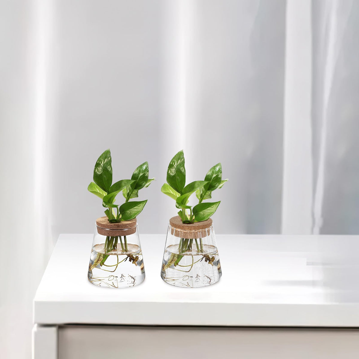 DECORNIJIA 3pcs Glass Hydroponic Plant Propagation Vases with Smooth, Hammered Vertical Textured Volcanic Cork Stoppers for Desktop Terrarium and Indoor Plant Decoration