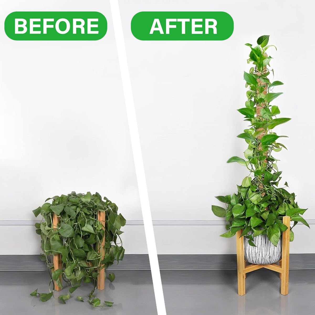Glory Island 63 Inch Moss Pole Monstera Plant Support, Coir Totem Pole for Indoor Plants, Tall Bendable Plant Climbing Stake with Jute Rope, Long Plant Pole Sticks for Pothos Live Plant