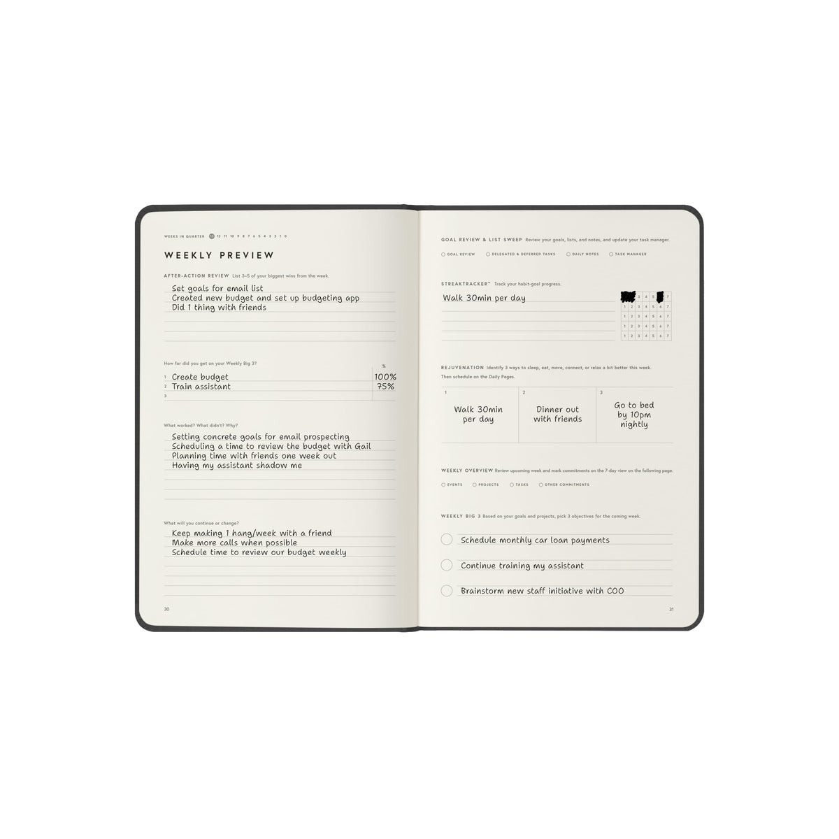 Full Focus Gray Linen Planner by Michael Hyatt - The #1 Daily Planner to Increase Focus, Eliminate Overwhelm, and Achieve Your Biggest Goals - Hardcover