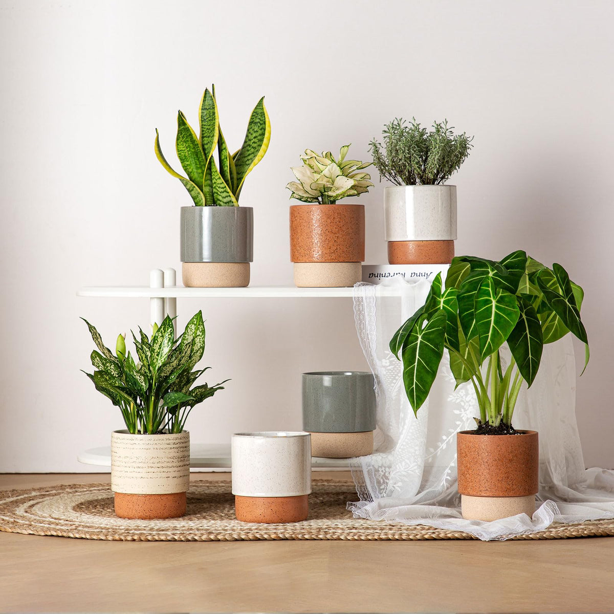 Chubacoo Self Watering Plant Pot: 6 Inch Ceramic Planter with Drainage Hole & Water Storage Plus - Flower Pot for Indoor & Outdoor Plants (Brush, Small)