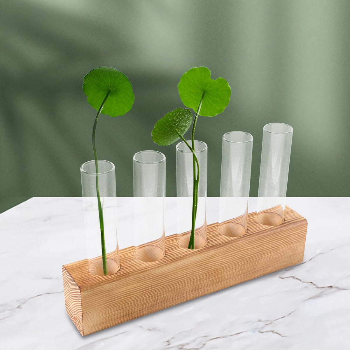 HEANUJJ Glass Planter Terrarium with 5-Hole Wooden Stand Hydroponic Vase for Indoor Plants Desktop Propagation Station Tabletop Water Planter