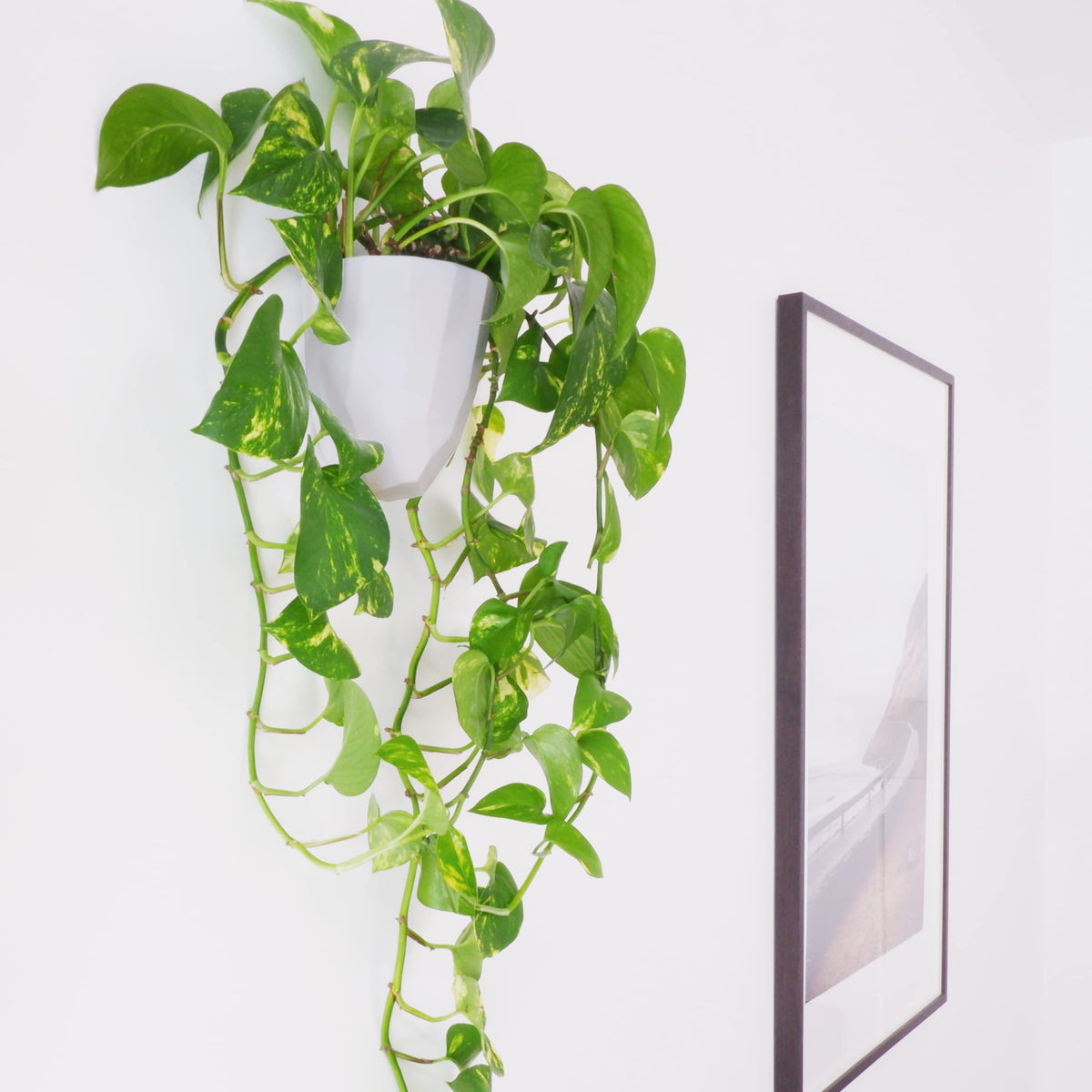 Make Good Virgo Wall Planters (Geometric, Set of 6) - Easy to Water and Install - Lightweight - Design Your Own Vertical Garden - Melamine Plastic
