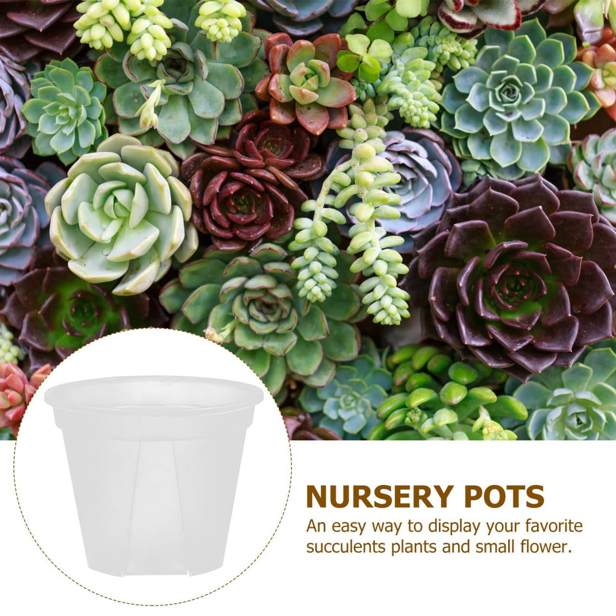 Alasum Transparent Planter Pots with Drainage Holes 10 Pack Clear Plastic Nursery Pots 3.93X3.93X3.14In for Succulents Cactus Orchid Small Flowers Root Control for Home Office