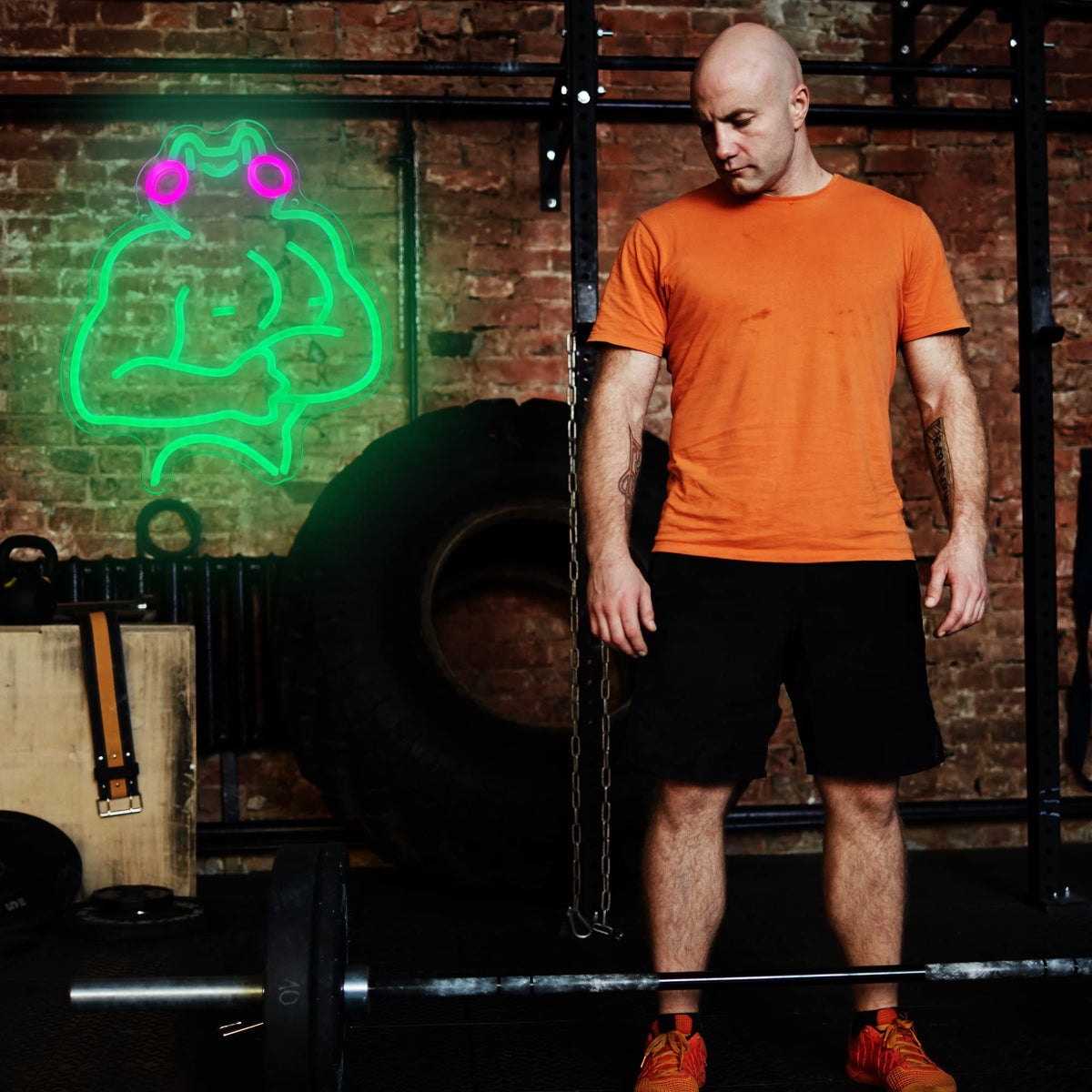 Fitness Frog Neon Sign - LED Muscle Frog Neon Light Sign 11.8x13 Inch Gym Room Wall Art USB Powered Gym Wall Decor Motivational Workout Room Home Office Art Christmas Birthday Gift