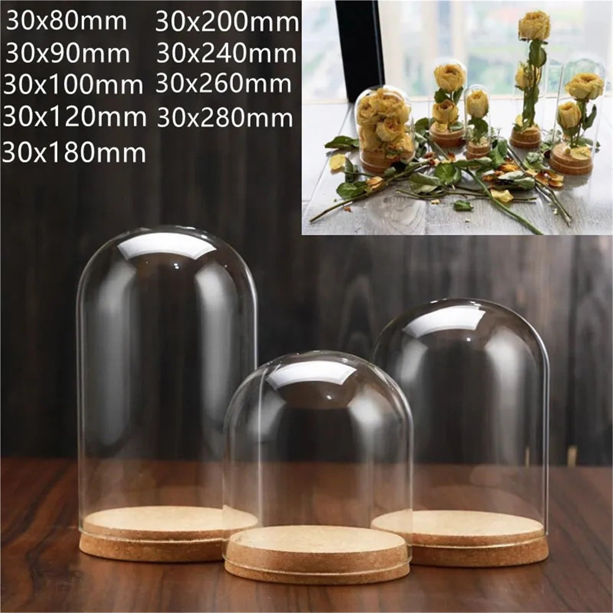 10X Da30mm Glass Bottle Terrarium Jar Cork Base Dome Dust Cover DIY Specimen Succulent Plant Micro Landscape Flower Vase Display(30x100cm)