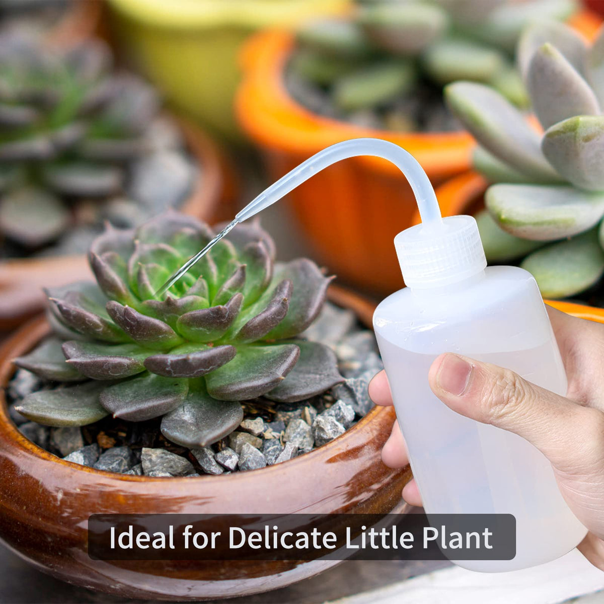 Goowin Watering Can Indoor Plants, 47 oz Long Spout House Plant Flower Watering Can, Creative Wide Opening Plastic Watering Can with 16 oz Spray Bottle & 8.5 oz Squeeze Bottle, Blue