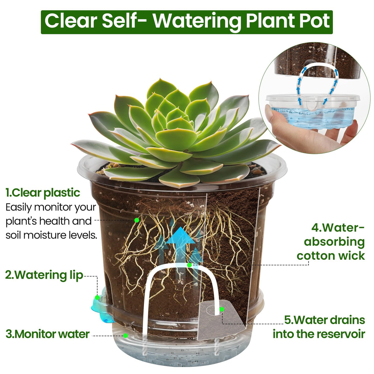 Bluepro 12 Pack 6.5 Inch Clear Self Watering Plant Pots with Bottom Water Tray & Watering Rope, Transparent Nursery Pots with Drainage for Seedlings, Herbs, and Houseplants