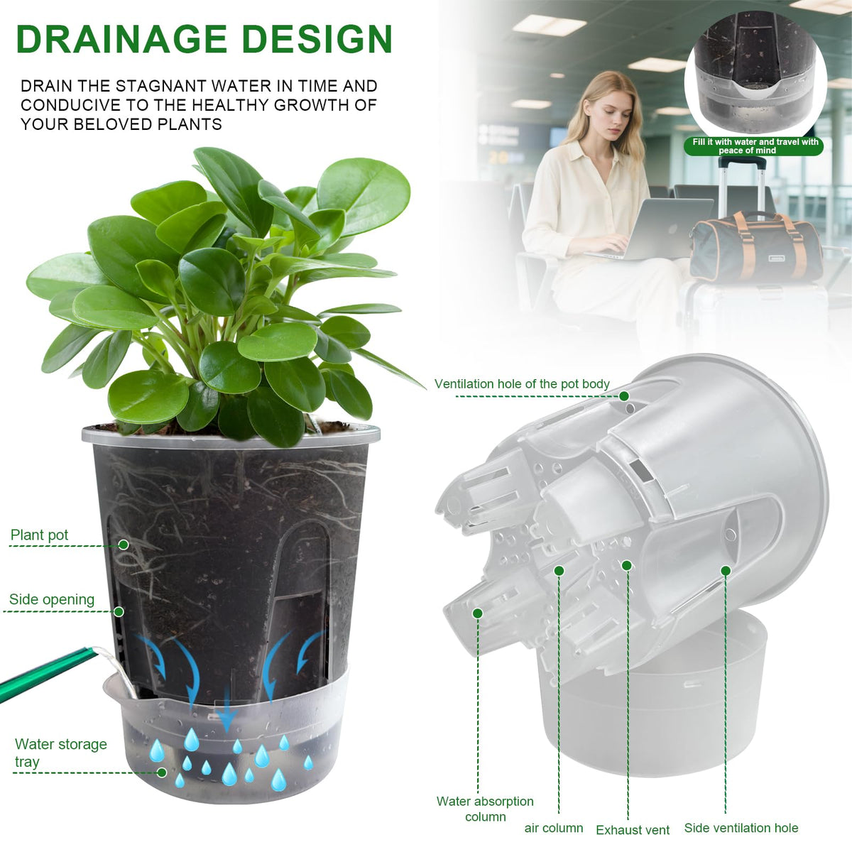 Cdd's Path Upgraded 5-Pack 6 Inch Naked Root Planter Self Watering Pots Set, Plant Pots with Holes for Indoor/Outdoor Plants with Watering Hole/Reservoir and Air Pipes, Clear