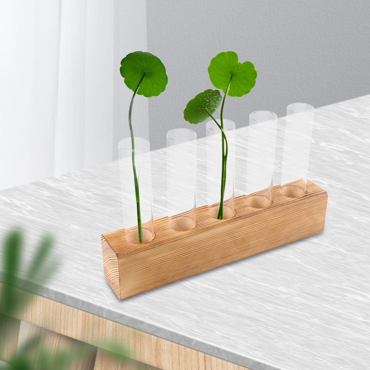minkissy Hydroponic Plant Vase Glass Planter with 5-Hole Wooden Stand for Indoor Desktop Terrarium and Plant Propagation Home Office Décor