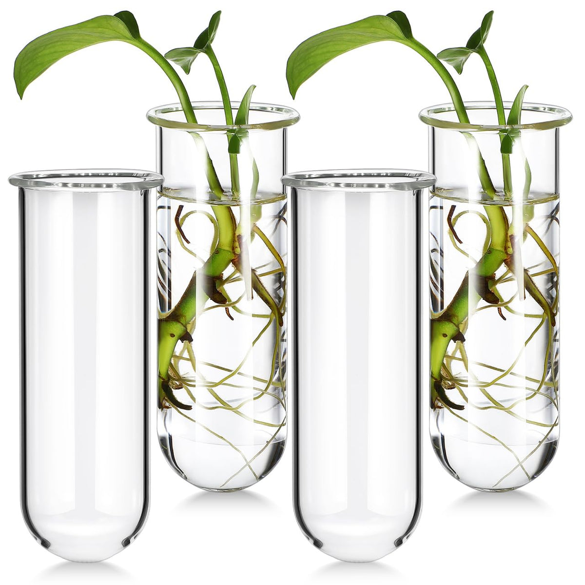POPETPOP Plant Propagation Tubes 4pcs Glass Test Tube Vase Replacement Clear Hydroponic Flowers Vase for Home Office Desktop Decoration