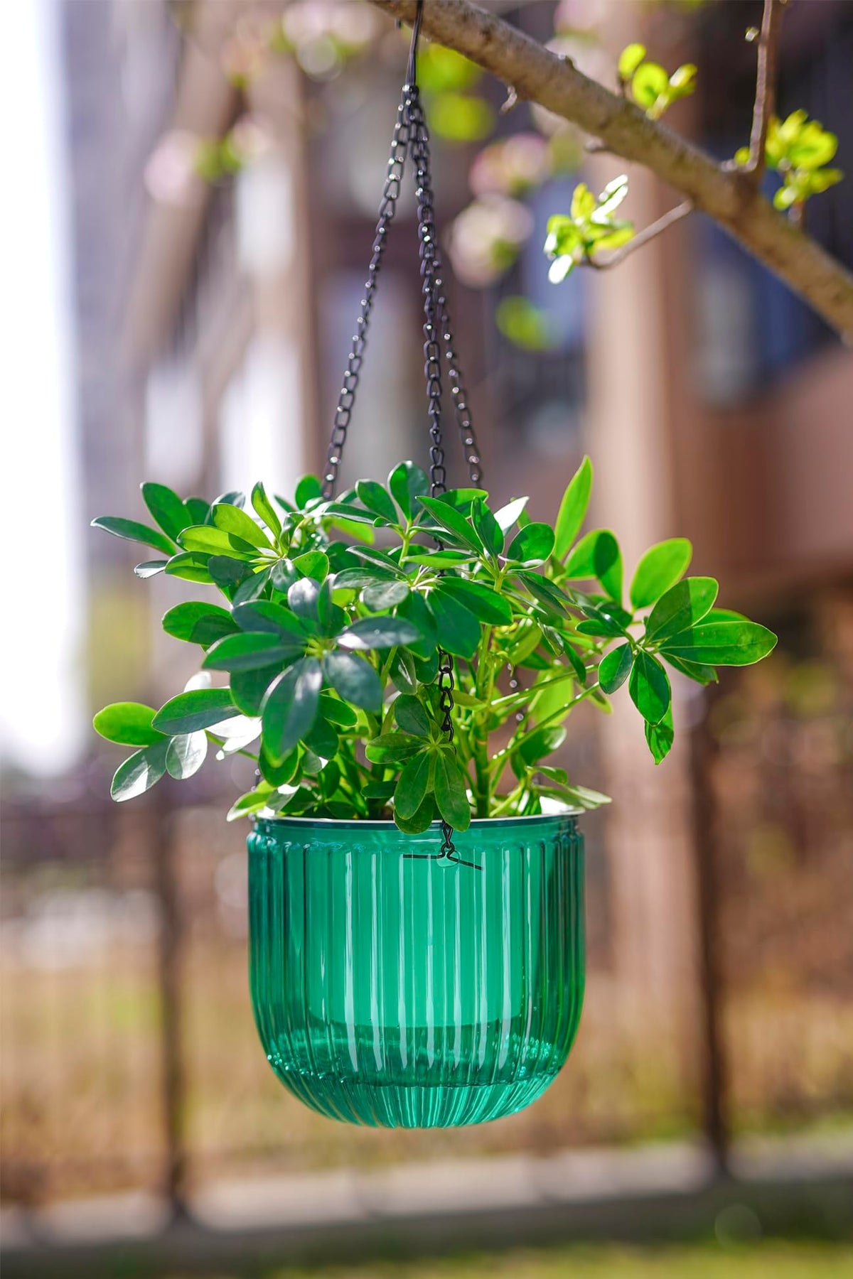 Melphoe Hanging Planters Outdoor and Indoor