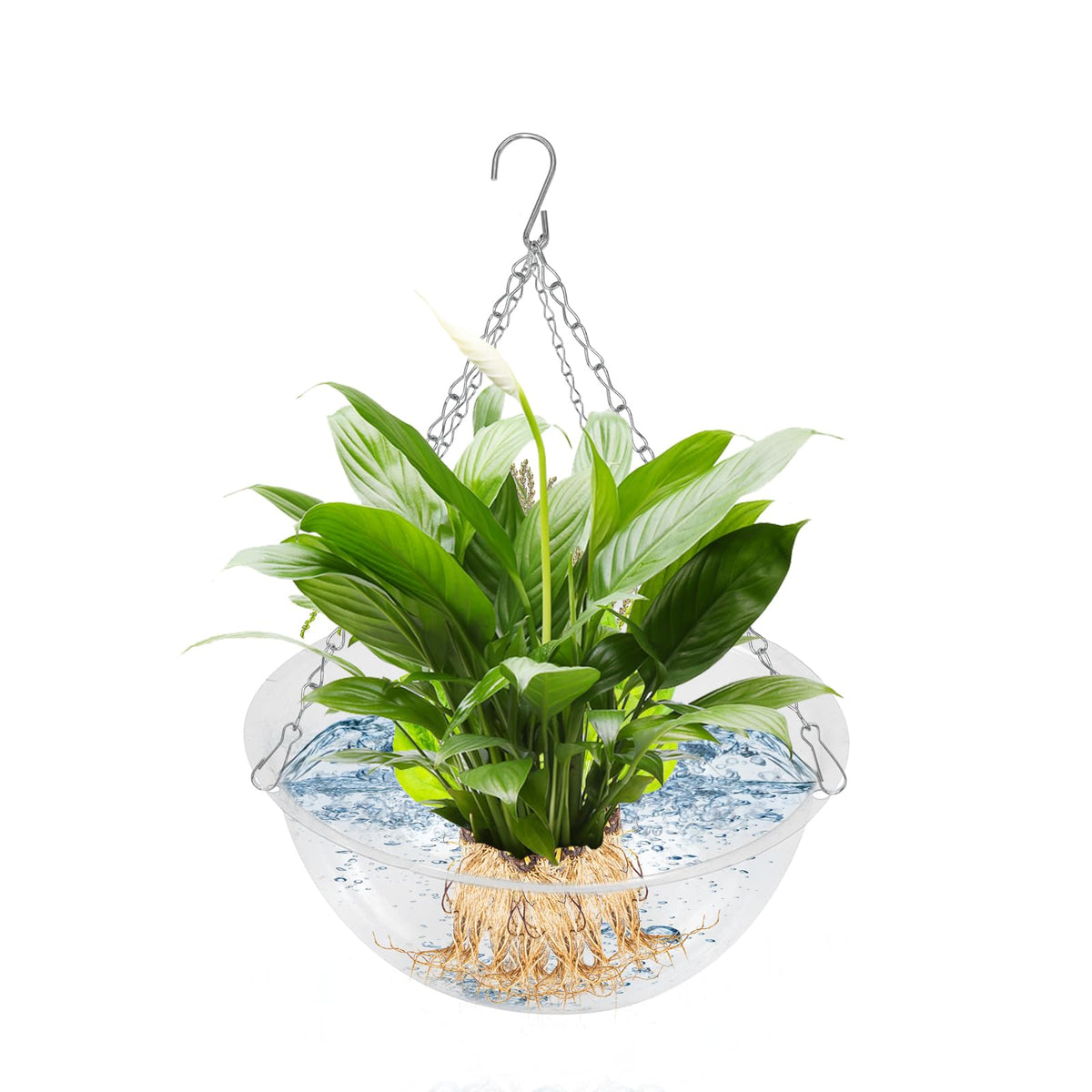 SnowTing 2 Pack Clear Hanging Planter Basket with Hook Chain, 11.8 Inch Air Hydroponics Plants Hanger for Indoor Use, Flower Pots Hanger for Home Garden Porch Entrance Décor