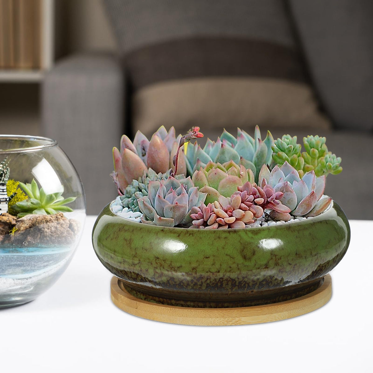 GANAZONO Succulent Succulent Planters with Drainage Ceramic Bonsai Pots with Bamboo Trays Round Shallow Pots for Indoor Cactus Flower Plants Green