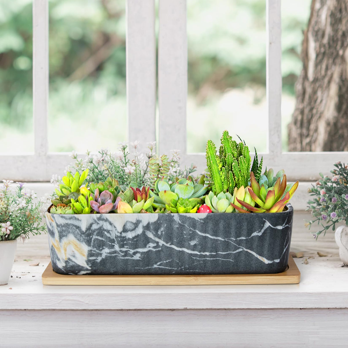 Succulent Pots - 12'' Large Succulent Planters with Drainage Tray Set of 2, Window Sill Planter, Long Rectangle Ceramic Pots for Indoor Cactus Plants Shallow Bonsai Window Box for Home Garden Decor