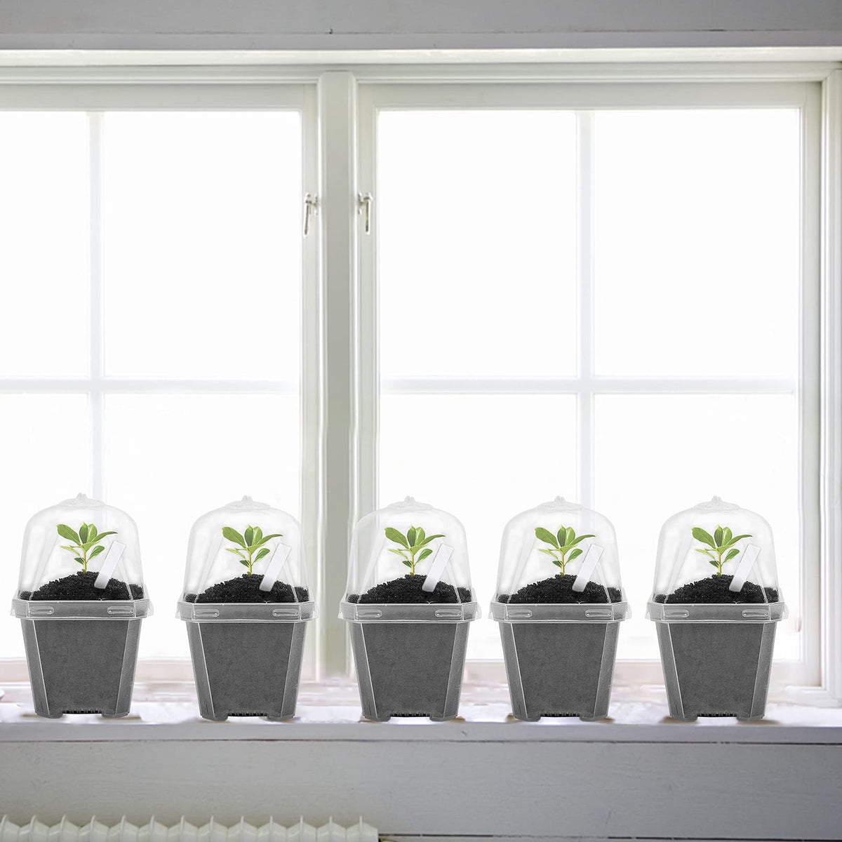 EBaokuup 30PCS Clear Plant Nursery Pots with Humidity Dome - 3" Durable Plastic Gardening Pot, Small Plant Container for Seedlings/Vegetables/Succulents/Cuttings