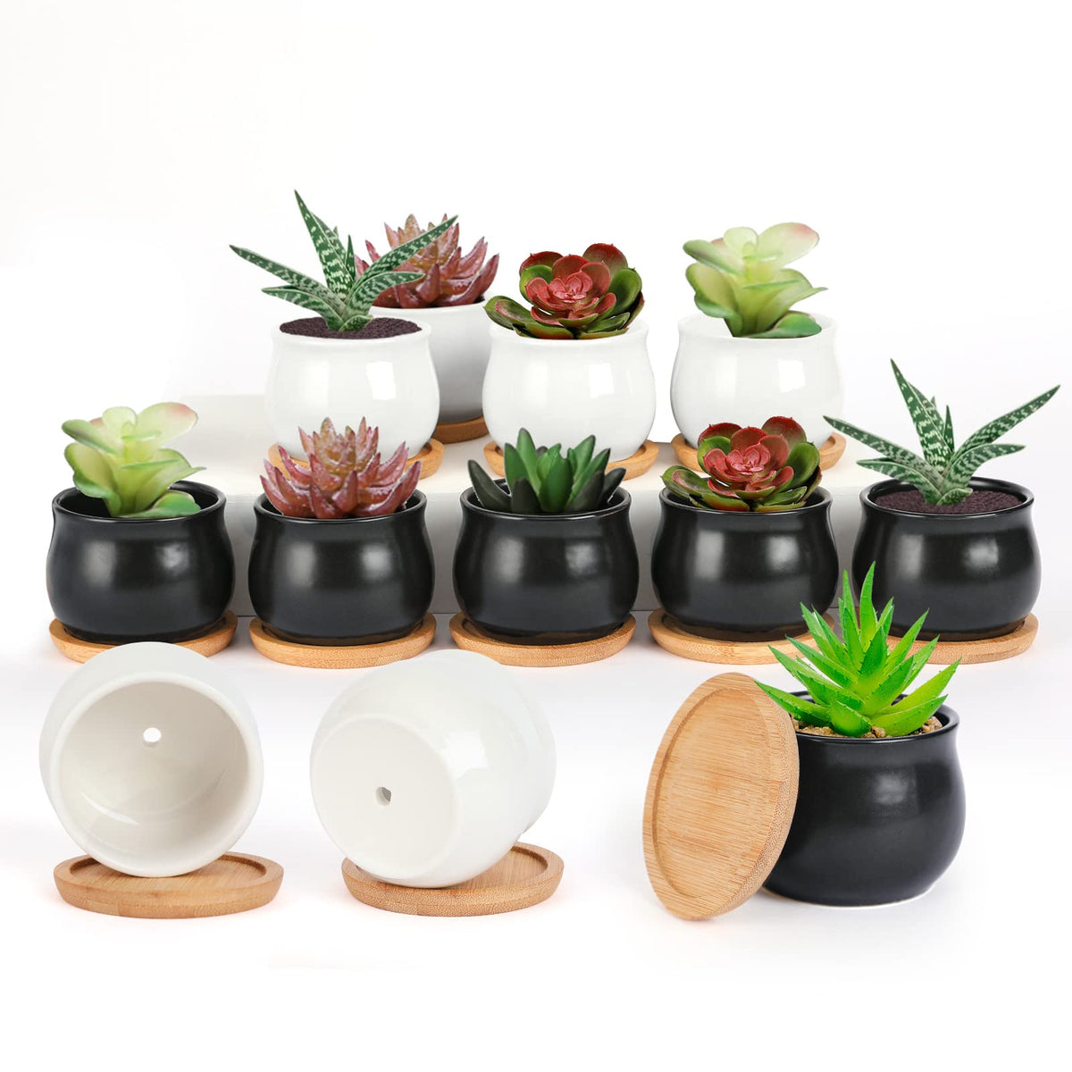 SHECIPIN 12 Pack Succulent Plant Pot, Mini 2.6 inch Ceramic Flower Planter Pot with Bamboo Tray, Small Pots for Plants, Plants Not Included （White, Black）