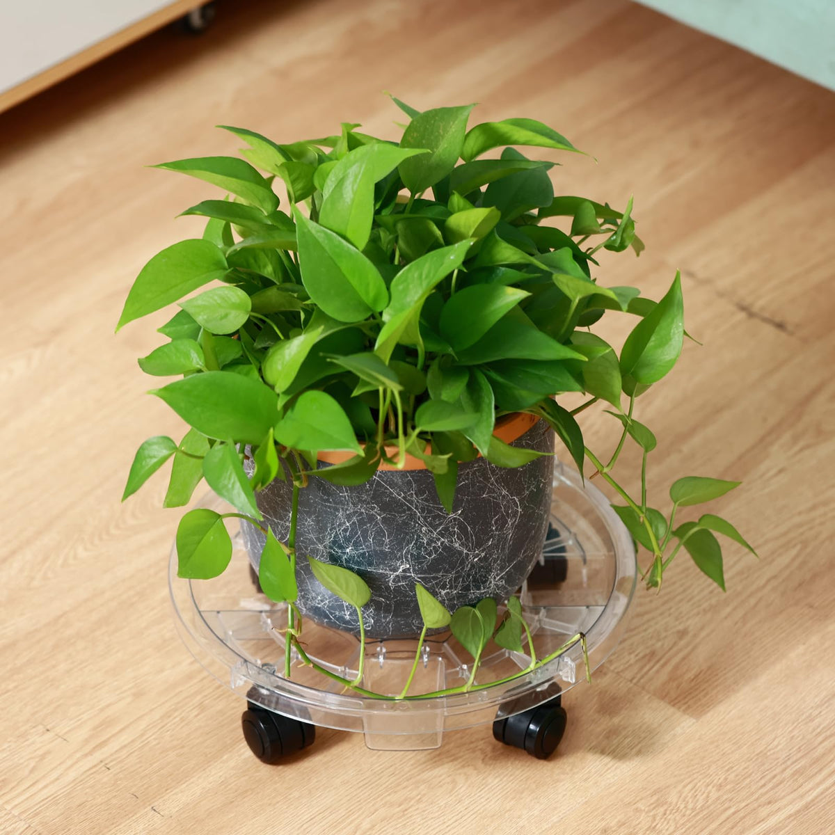 KvyusFlourish 4 Packs 13.8 Inches Large Clear Plant Caddy Plant Saucers on Wheels Rolling Plant Stands Heavy-duty Plant Dolly Plastic Planter Roller Base Pot Movers Outdoor Plant Tray Coaster