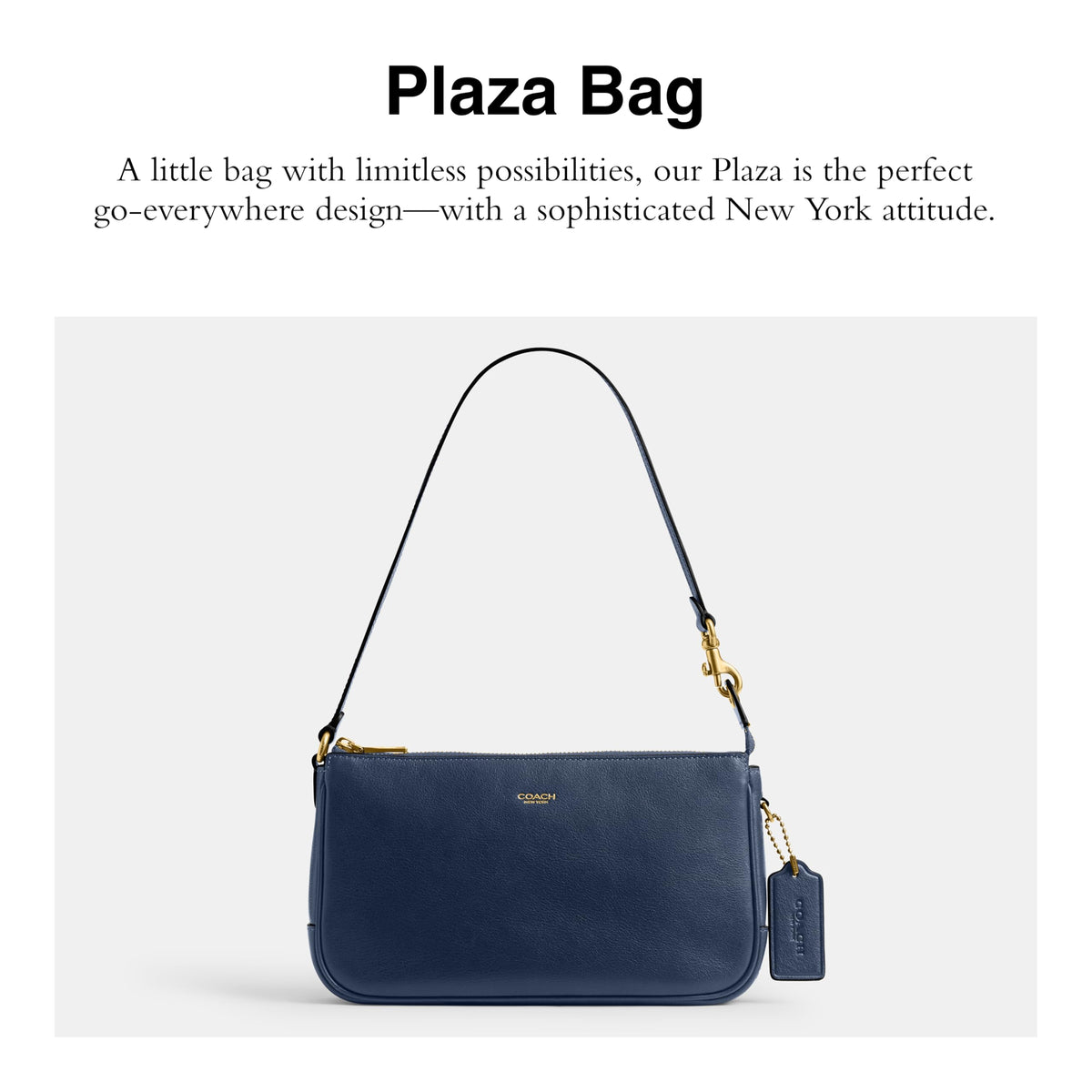 COACH Natural Grain Leather Plaza Bag