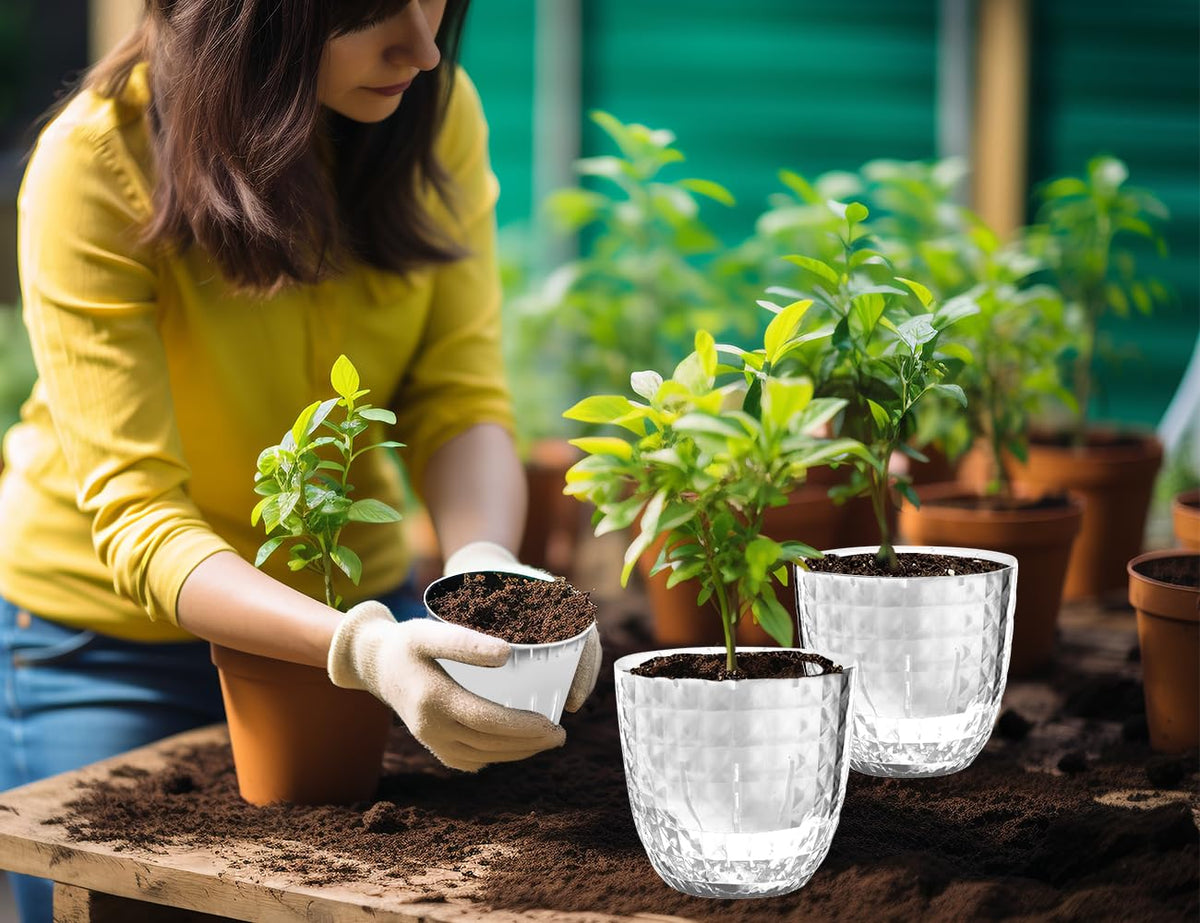 Etvski Self Watering Pots for Indoor Plants, Flower Pots, Self Watering Plant Pot-6pcs 4inch Clear
